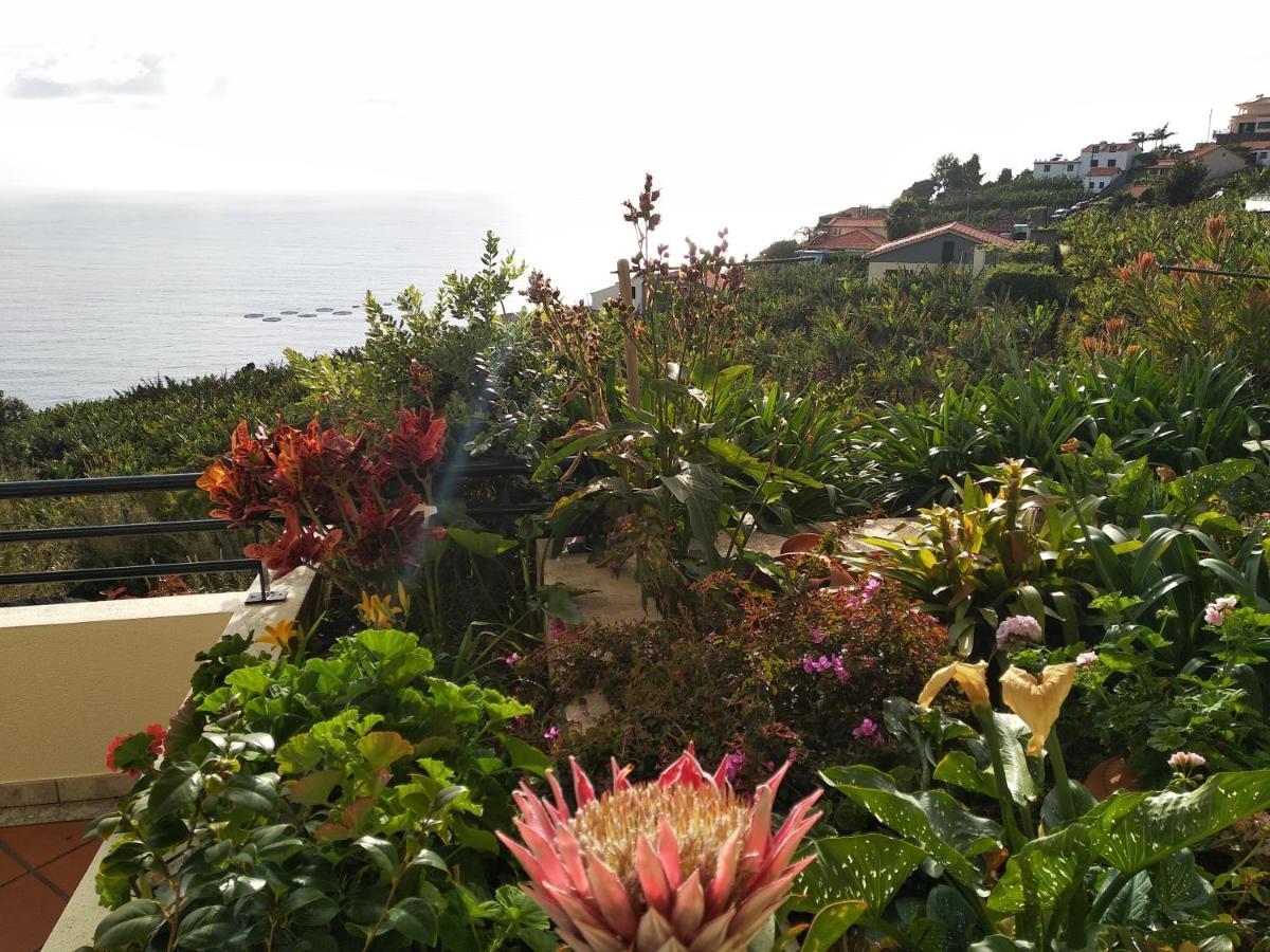 Jardim Do Arco "Esmee" Apartamento Arco da Calheta  Exterior foto