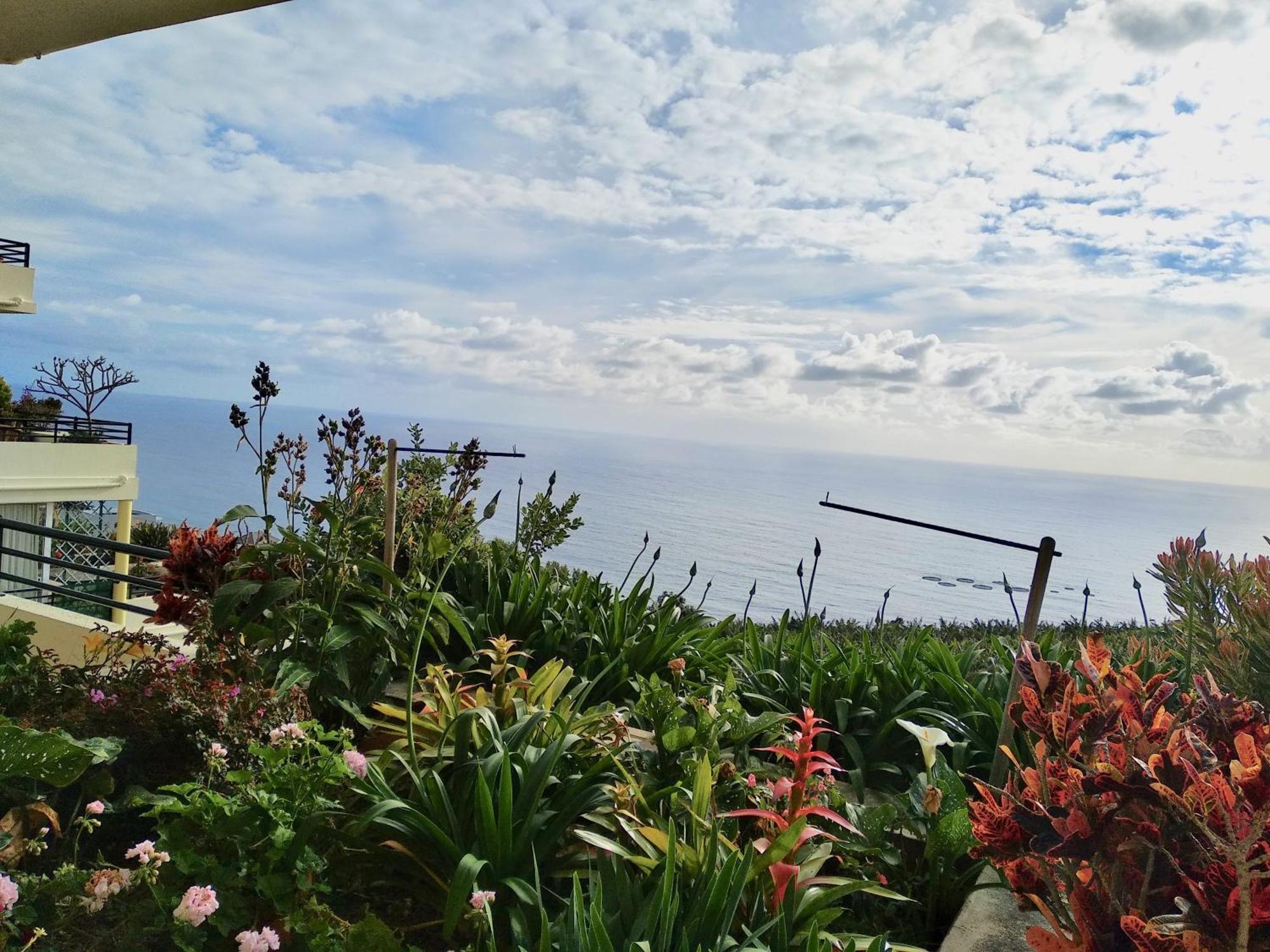 Jardim Do Arco "Esmee" Apartamento Arco da Calheta  Exterior foto